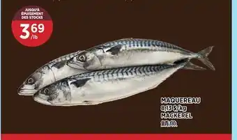 Kim Phat MACKEREL offer