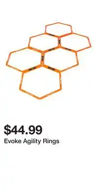 Sport Chek Evoke Agility Rings offer