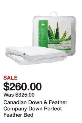 TSC Stores Canadian Down & Feather Company Down Perfect Feather Bed offer