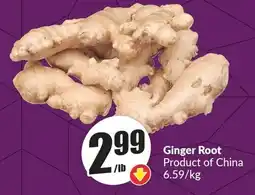 FreshCo Ginger Root offer