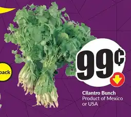 FreshCo Cilantro Bunch offer