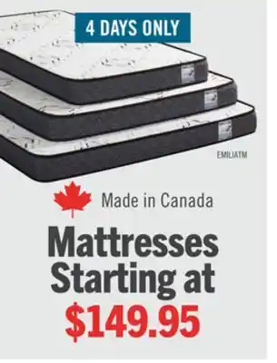 The Brick Springwall Emilia Tight Top Twin Mattress offer