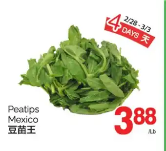 T&T Supermarket PEATIPS offer