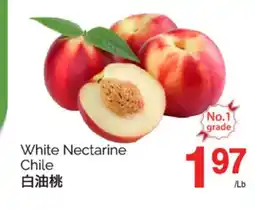 T&T Supermarket WHITE NECTARINE CHILE offer