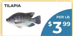 Food World Supermarket TILAPIA offer