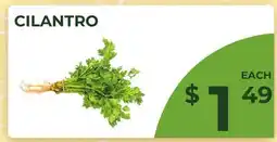 Food World Supermarket CILANTRO offer