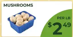 Food World Supermarket MUSHROOMS offer