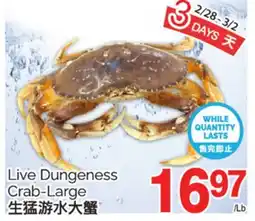 T&T Supermarket LIVE DUNGENESS CRAB-LARGE offer