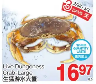 T&T Supermarket LIVE DUNGENESS CRAB-LARGE offer