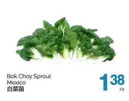 T&T Supermarket BOK CHOY SPROUT offer