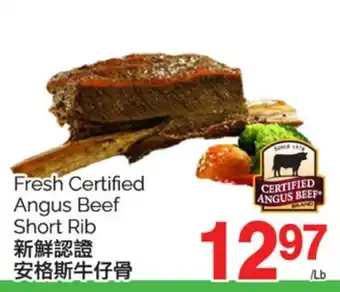 T&T Supermarket FRESH CERTIFIED ANGUS BEEF SHORT RIB offer