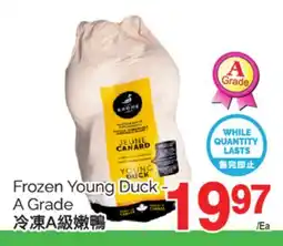 T&T Supermarket FROZEN YOUNG DUCK - A GRADE offer