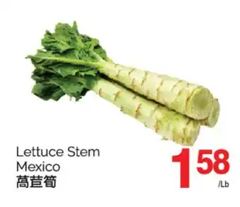 T&T Supermarket LETTUCE STEM MEXICO offer