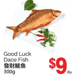 T&T Supermarket GOOD LUCK DACE FISH, 300G offer