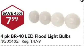 Princess Auto 4 pk BR-40 LED Flood Light Bulbs offer