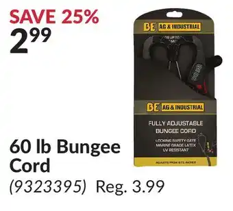 Princess Auto 60 lb Bungee Cord offer