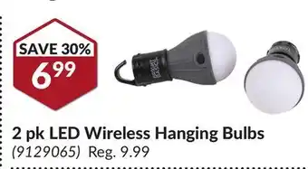 Princess Auto 2 pk LED Wireless Hanging Bulbs offer