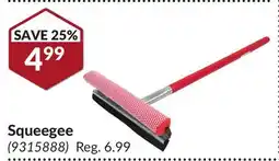 Princess Auto Squeegee offer