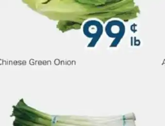 Oceans Fresh Food Market Chinese Green Onion offer