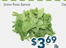 Oceans Fresh Food Market Snow Peas Sprout offer