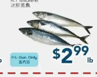 Oceans Fresh Food Market A.T Mackerel offer