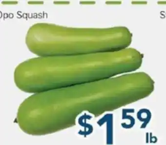 Oceans Fresh Food Market Opo Squash offer