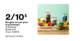 Michaels Bougies en pot pour le printemps d'Ashland offer