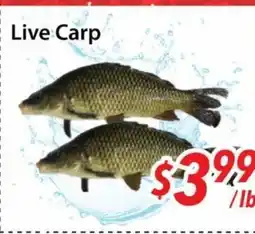 Bestco Food Mart Live Carp offer