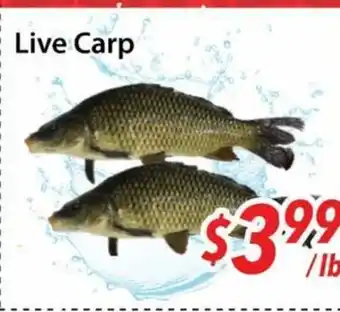 Bestco Food Mart Live Carp offer