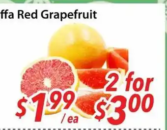 Bestco Food Mart Jaffa Red Grapefruit offer