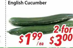 Bestco Food Mart English Cucumber offer