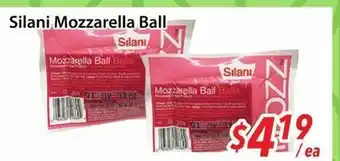 Bestco Food Mart Silani Mozzarella Ball offer