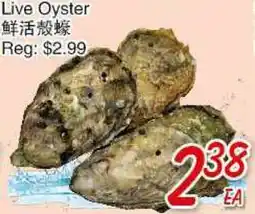 Foody Mart Live Oyster offer