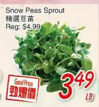 Foody Mart Snow Peas Sprout offer