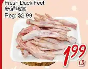 Foody Mart Fresh Duck Feet offer