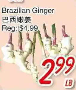 Foody Mart Brazilian Ginger offer