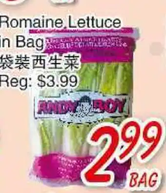 Foody Mart Romaine Lettuce In bag offer