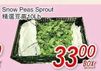 Foody Mart Snow peas Sprout offer