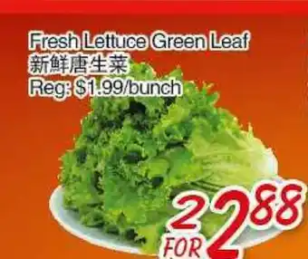 Foody Mart Fresh Lettuce Green Leaf offer