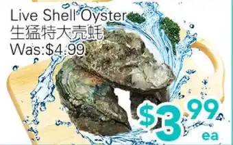 Ample Food Market Live Shell Oyster offer