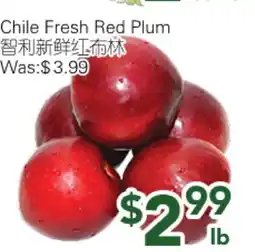 Ample Food Market Chile Fresh Red Plum offer