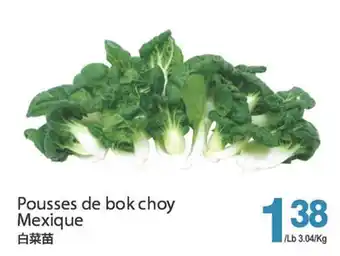 T&T Supermarket POUSSES DE BOK CHOY MEXIQUE offer