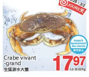 T&T Supermarket CRABE VIVANT GRAND offer