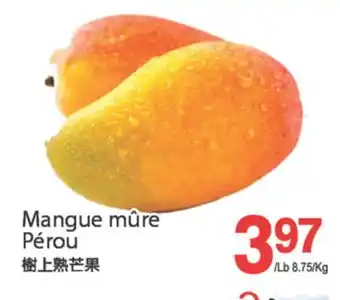 T&T Supermarket MANGUE MÛRE offer