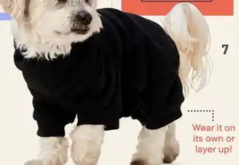 Petvalu Bailey & Bella Cozy Fleece offer