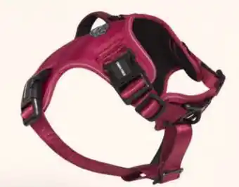 Petvalu Canada Pooch Complete Control Plum Dog Harness offer