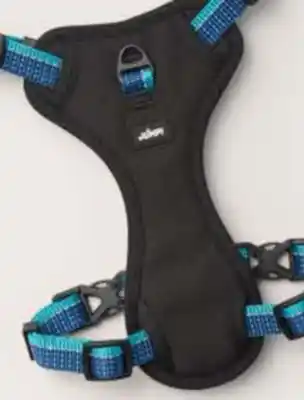 Petvalu JUMP! Discover Dog Reflective Multi Attachment Blue & Aqua Dog Harness offer