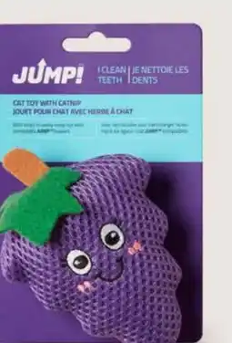 Petvalu JUMP! Grapes Dental Cat Toy With Catnip offer