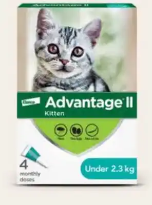 Petvalu Advantage II for Kittens offer