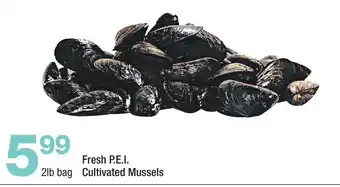 Highland Farms Fresh P.E.I. Cultivated Mussels offer